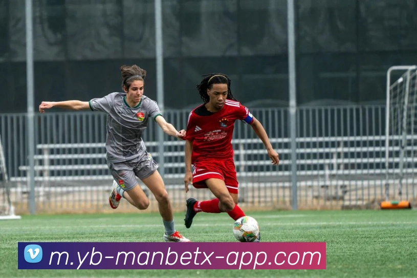 多媒体互动体验