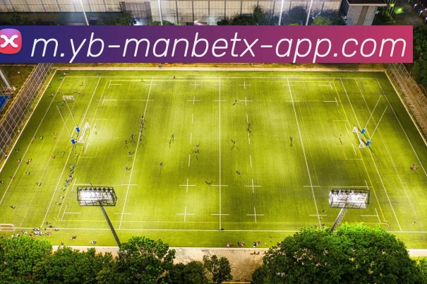 万博体育APP 高清赛事图